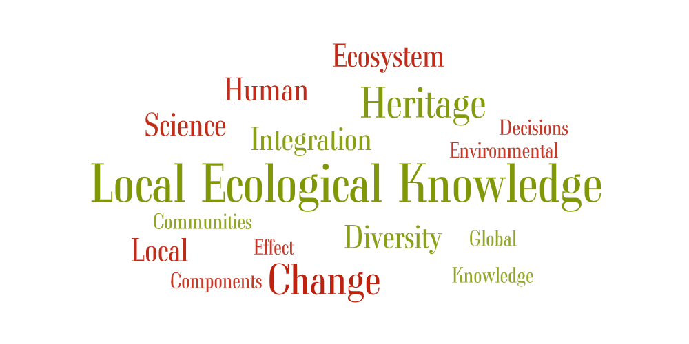 [CM0531] DIVERSITY AND GLOBAL CHANGE (FOR CULTURAL HERITAGE) (CMR5) - a.a. 2025-26
