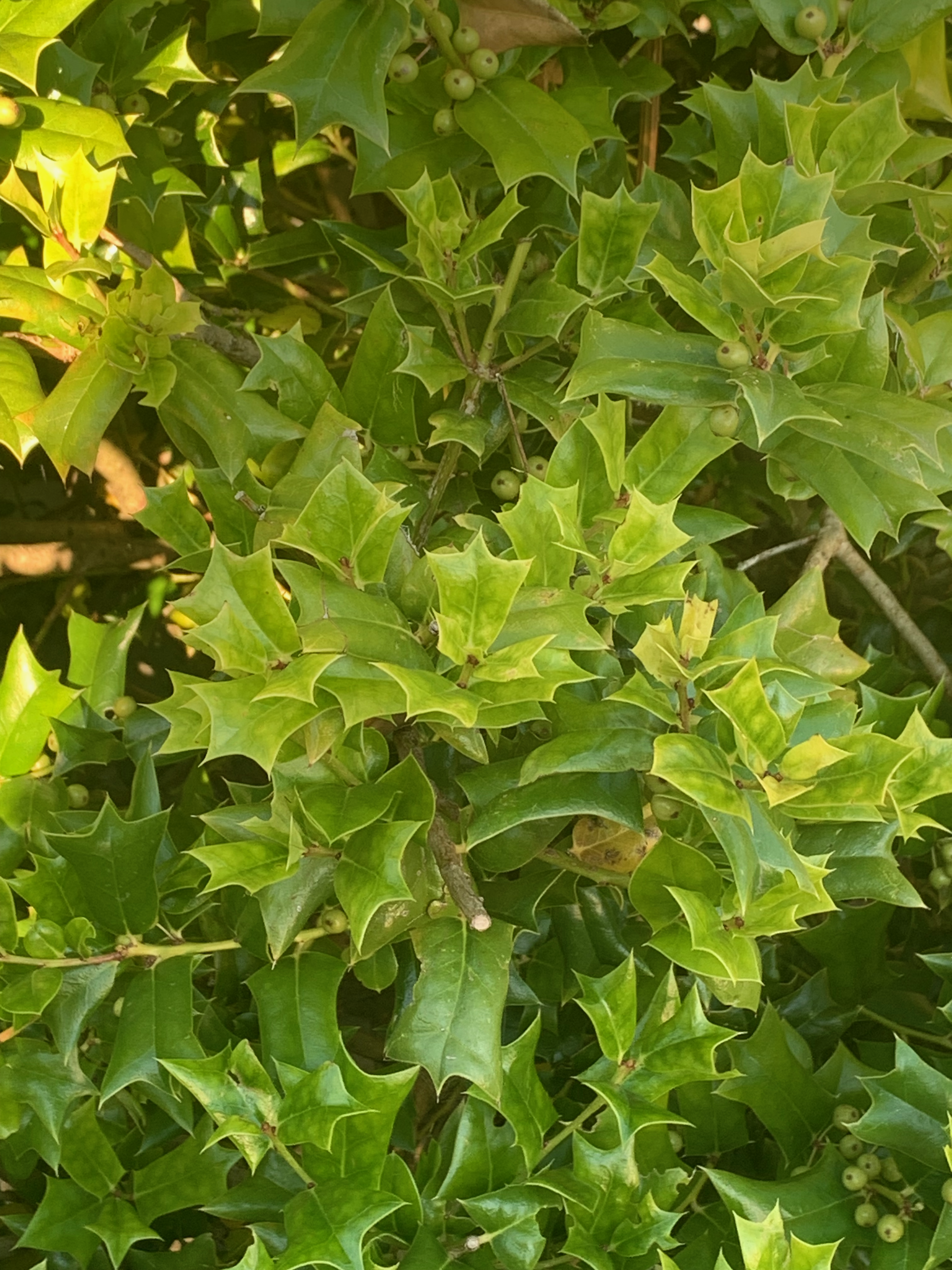 [FT0497-1] FILOSOFIA DELLA STORIA I (FT2) - a.a. 2025-26